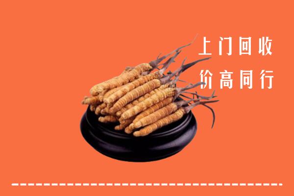 高价求购：韶关市回收散虫草