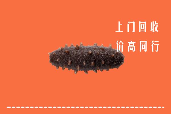 高价求购：韶关市回收海参