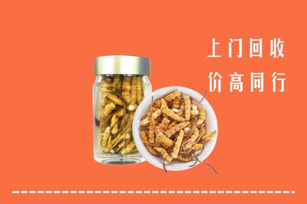 收购行情：韶关市回收冬虫夏草
